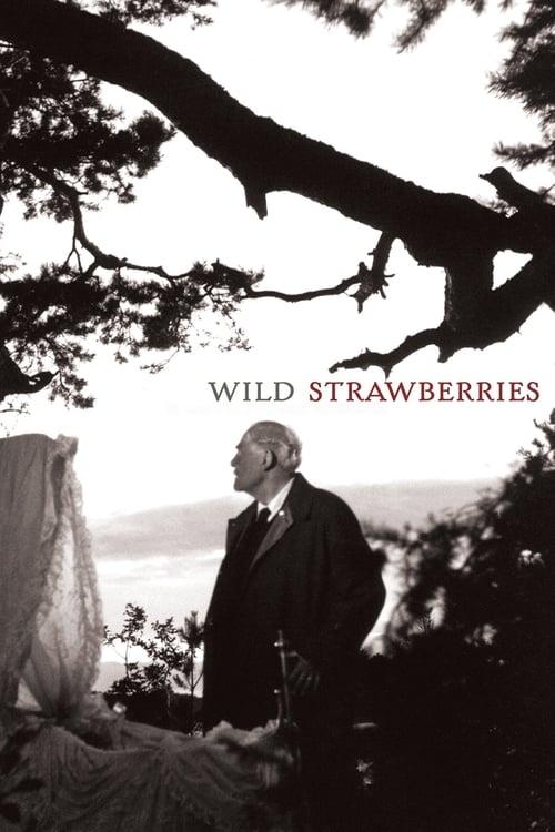 Wild Strawberries 1957 official movie poster