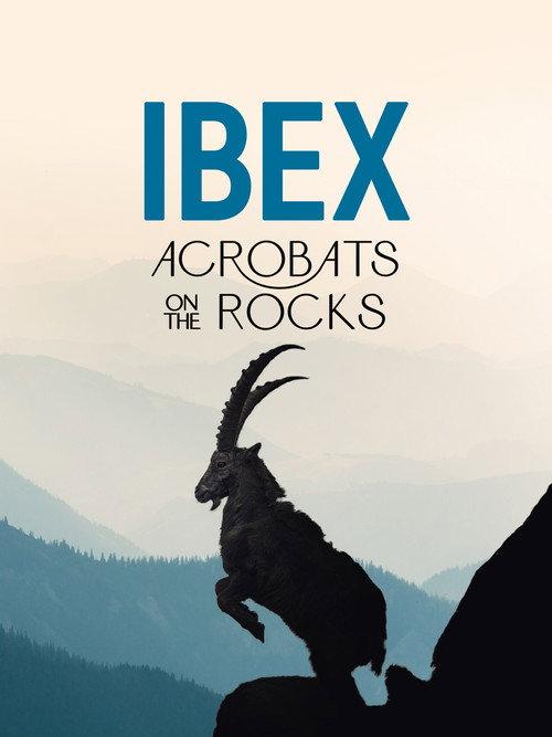 Ibex: Acrobats on the Rocks official movie poster