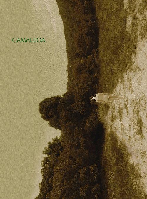 Camaleoa 2023 official movie poster