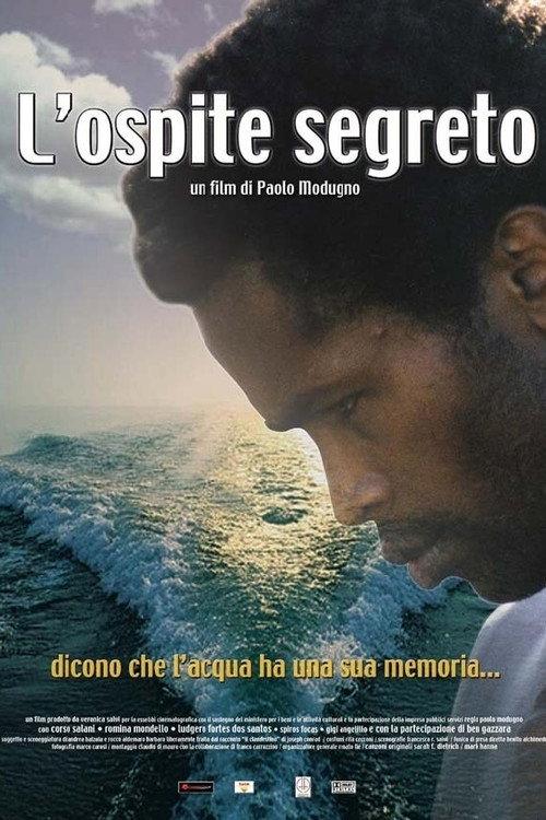 L'ospite segreto 2003 official movie poster