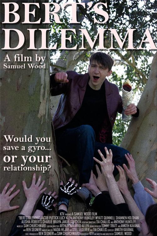 Bert's Dilemma 2026 official movie poster