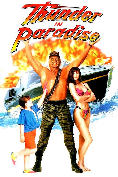 Thunder in Paradise 1993 official movie poster