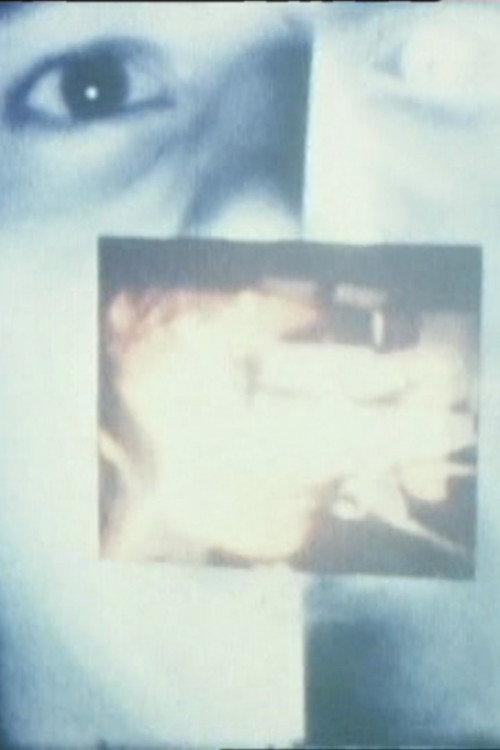The Screen, Just the Screen 1978 official movie poster