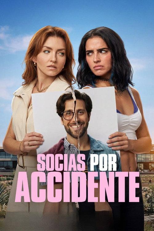Accidental Partners 2026 official movie poster