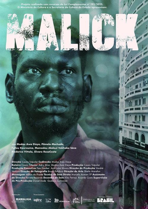 Malick 2026 official movie poster