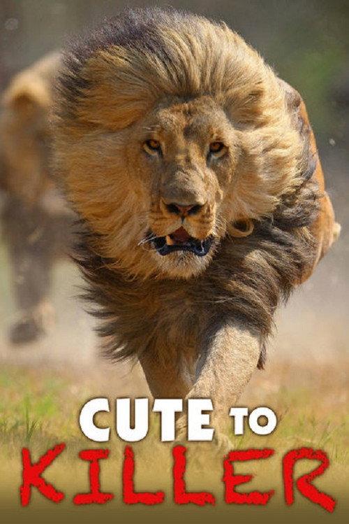 Cute to Killer 2014 official movie poster