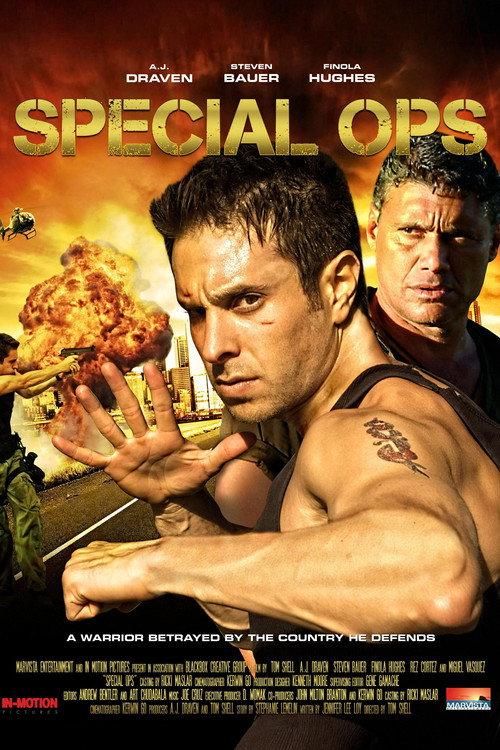 Special Ops 2010 official movie poster