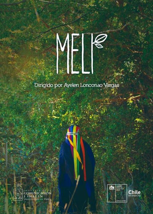 Meli 2020 official movie poster