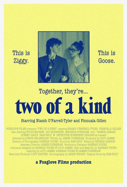 Two of a Kind 2025 official movie poster