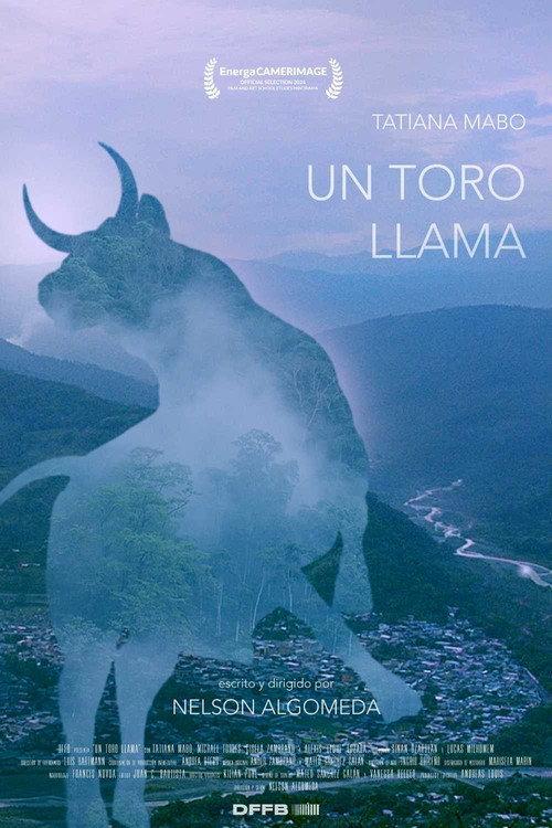 A Bull Calls 2024 official movie poster