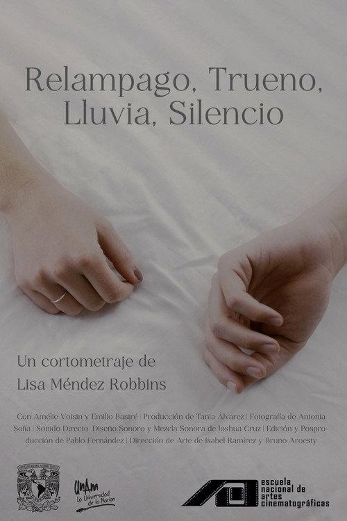 Silence After Storm 2023 official movie poster