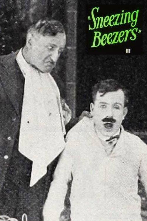 Sneezing Beezers 1925 official movie poster