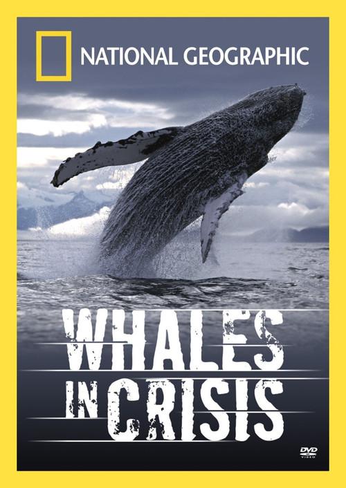 Whales in Crisis 2004 official movie poster