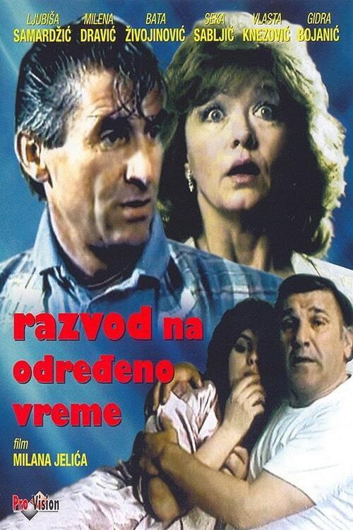Part-Time Divorce 1986 official movie poster