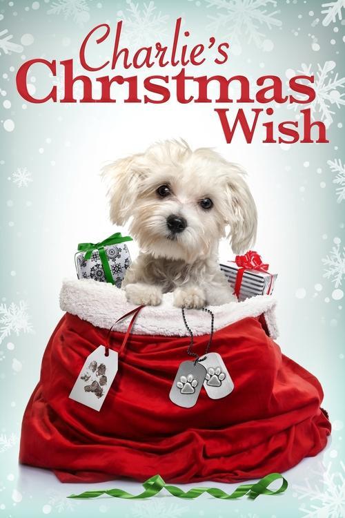 Charlie's Christmas Wish 2020 official movie poster