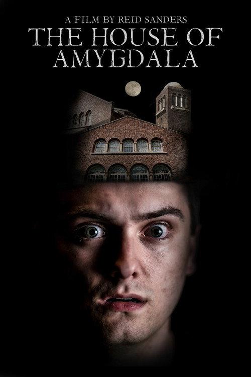 The House of Amygdala 2021 official movie poster