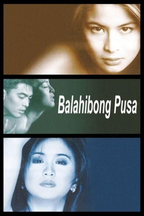 Balahibong Pusa 2001 official movie poster