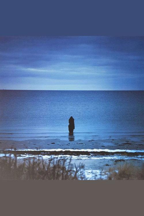 Steven Wilson: Catalogue / Preserve / Amass 2026 official movie poster