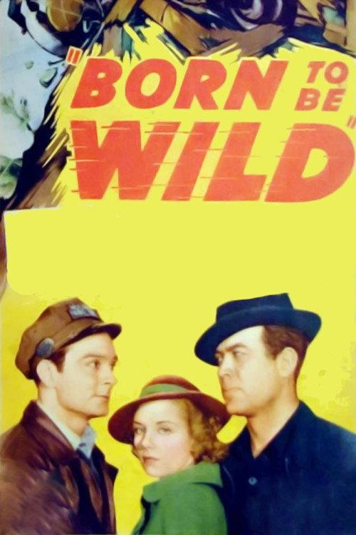 Born to Be Wild 1938 official movie poster