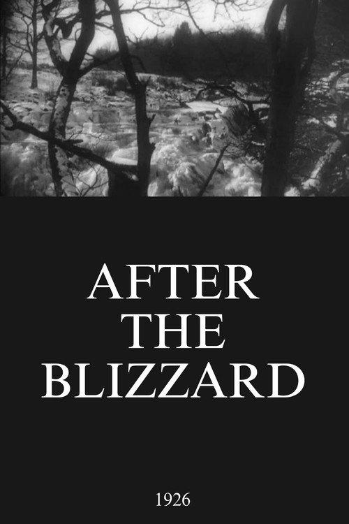 After the Blizzard 1926 official movie poster