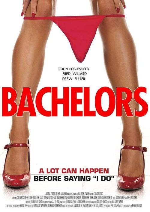 Bachelors 2015 official movie poster