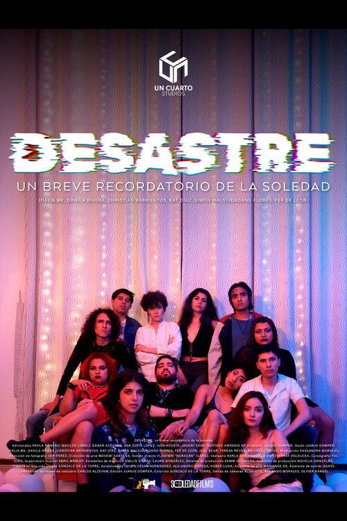 DISASTER: a brief reminder of loneliness 2024 official movie poster