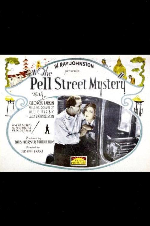 The Pell Street Mystery 1924 official movie poster