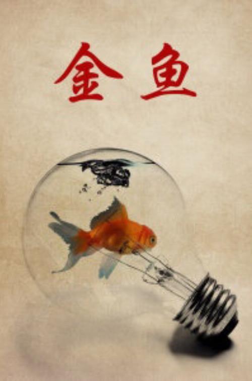 Goldfish 1995 official movie poster