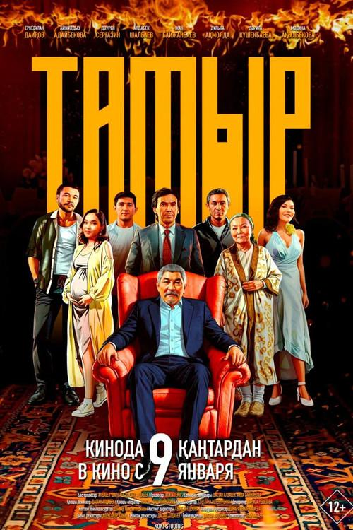 Tamyr 2025 official movie poster