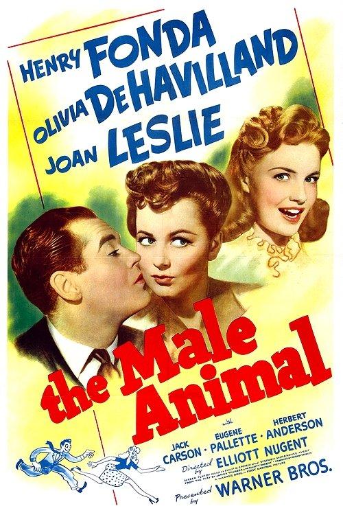 The Male Animal 1942 official movie poster
