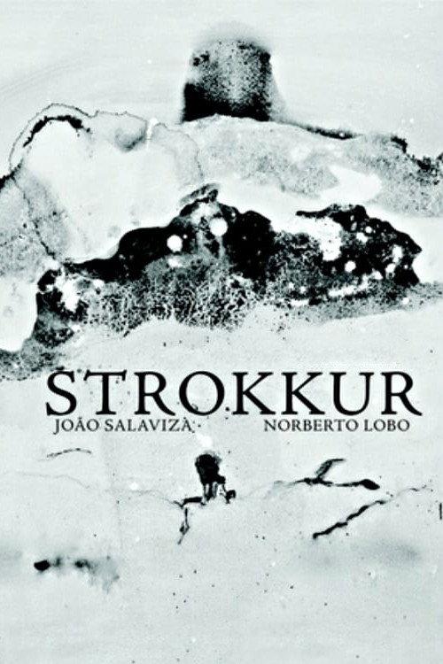 Strokkur 2011 official movie poster
