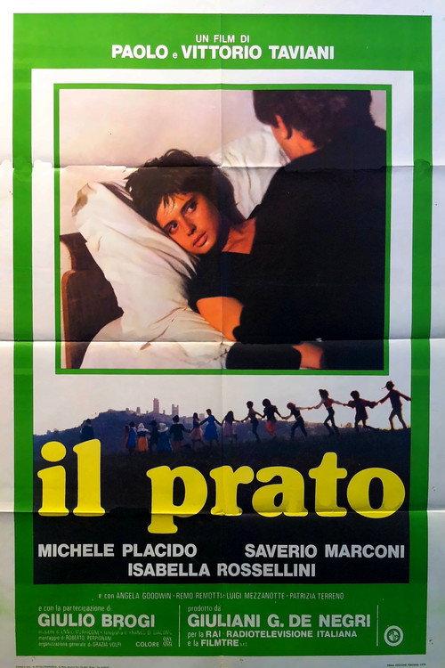 The Meadow 1979 official movie poster