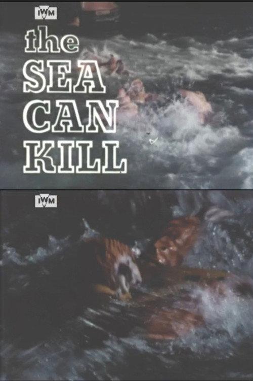 The Sea Can Kill 1978 official movie poster