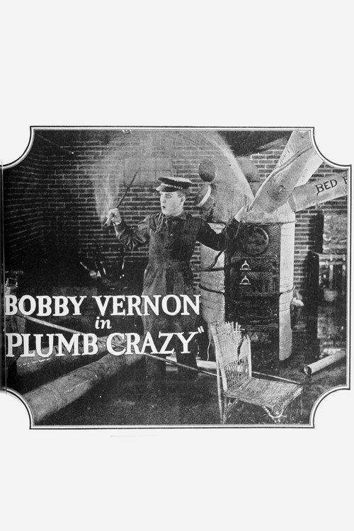 Plumb Crazy 1923 official movie poster