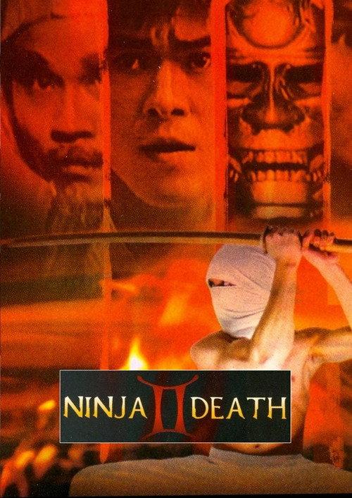 Ninja Death 2 1987 official movie poster