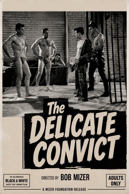 Delicate Convict 1964 official movie poster