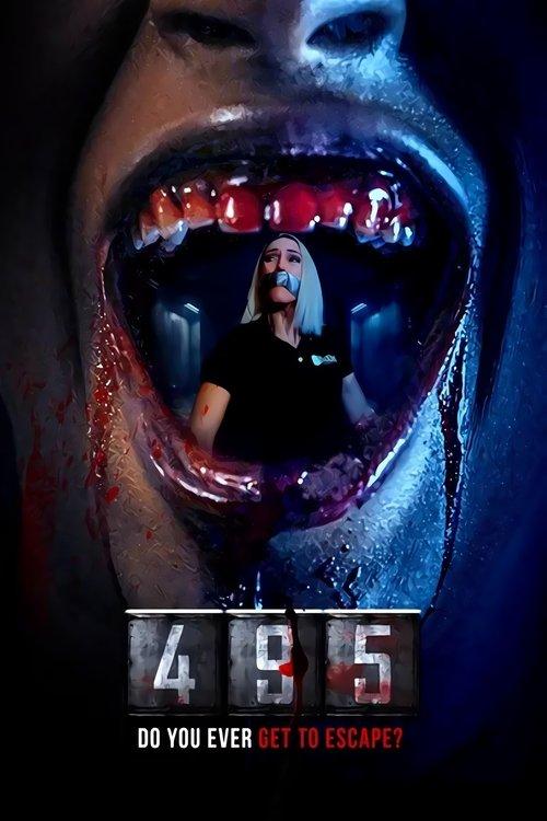 495 2025 official movie poster
