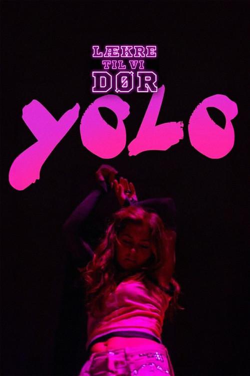 YOLO 2013 official movie poster