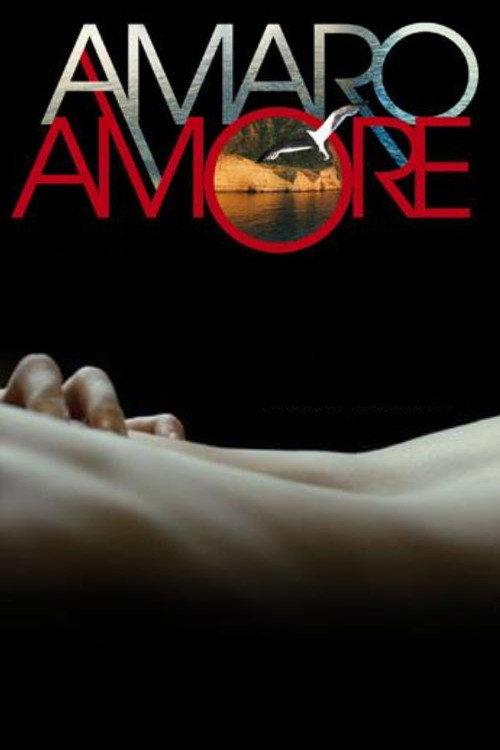 Amaro amore 2013 official movie poster