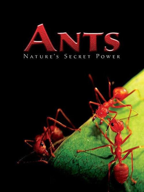 Ants - Nature's Secret Power 2004 official movie poster