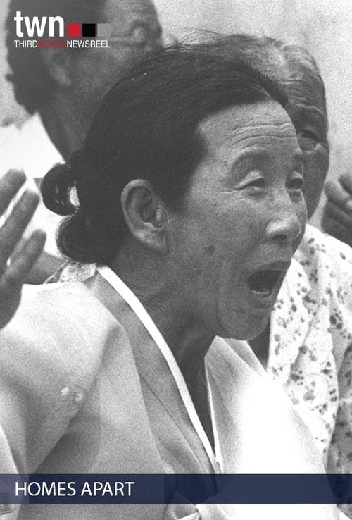 Homes Apart: Korea 1991 official movie poster