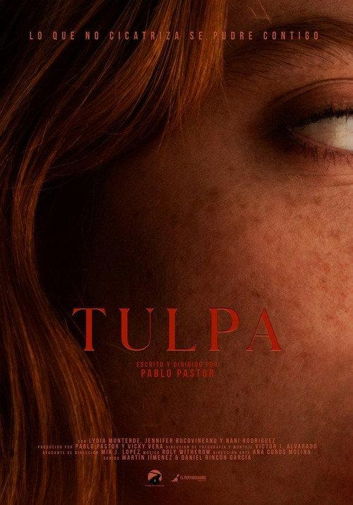 Tulpa 2025 official movie poster