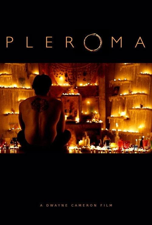 Pleroma 2013 official movie poster