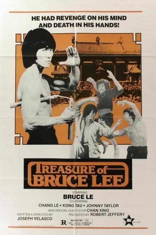 Treasure of Bruce Le 1979 official movie poster