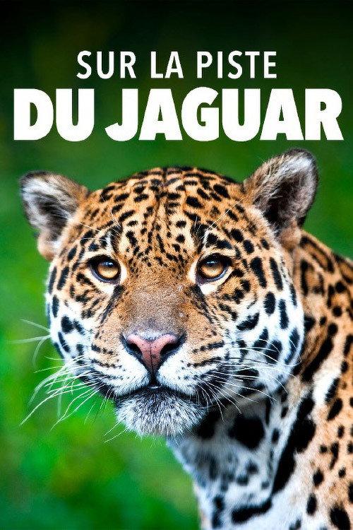 Jaguar: Jungle Icon of Guyana 2023 official movie poster