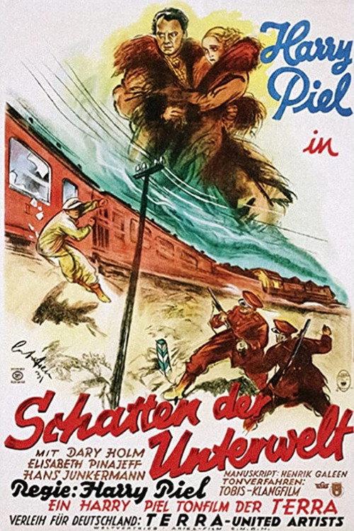 Shallow Shadows 1931 official movie poster