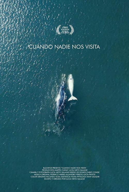 Cuando nadie nos visita 2018 official movie poster