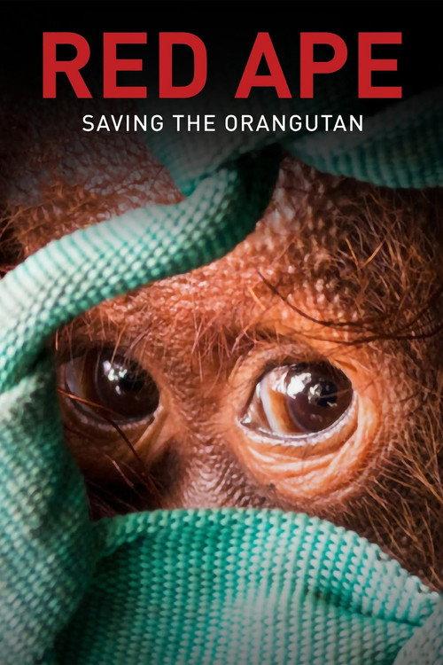 Red Ape: Saving the Orangutan 2018 official movie poster