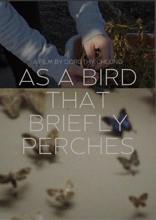 as a bird that briefly perches 2025 official movie poster