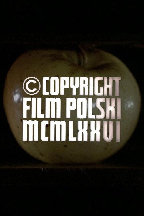 Copyright Film Polski MCMLXXVI 1977 official movie poster